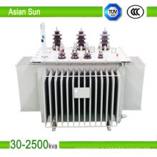 Refrigeração de 11kV óleo transformador de potência imersos em óleo (250kVA)